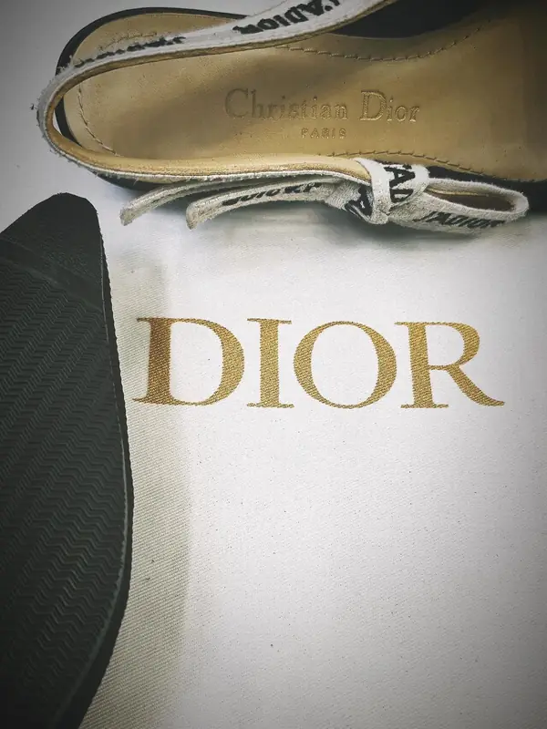 Christian Dior trainers with their dust bag