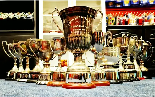 Engraved silver trophy cups lined up on a table